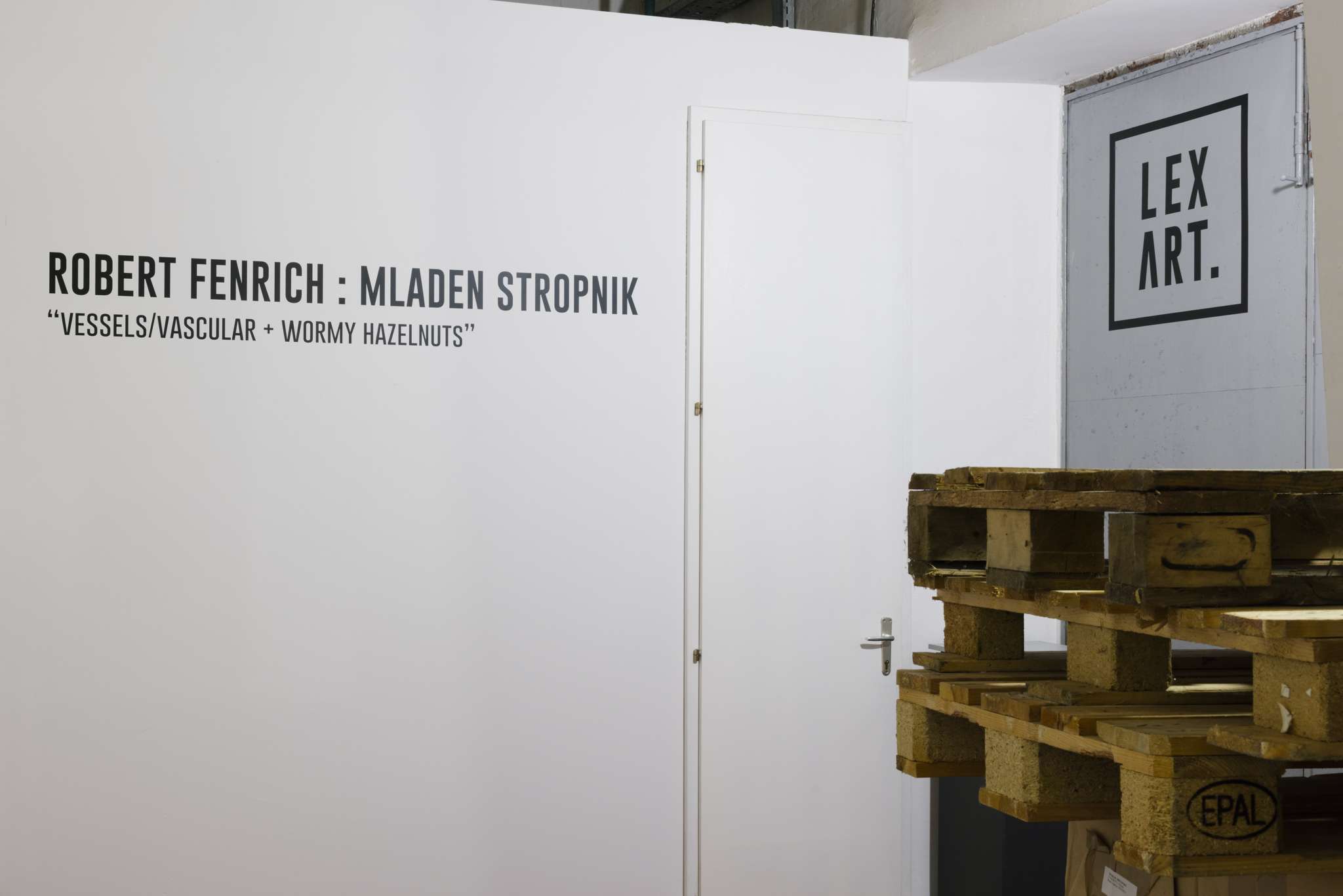 DUAL - Robert Fenrich i Mladen Stropnik "Vessels/Vascular + wormy hazelnuts"